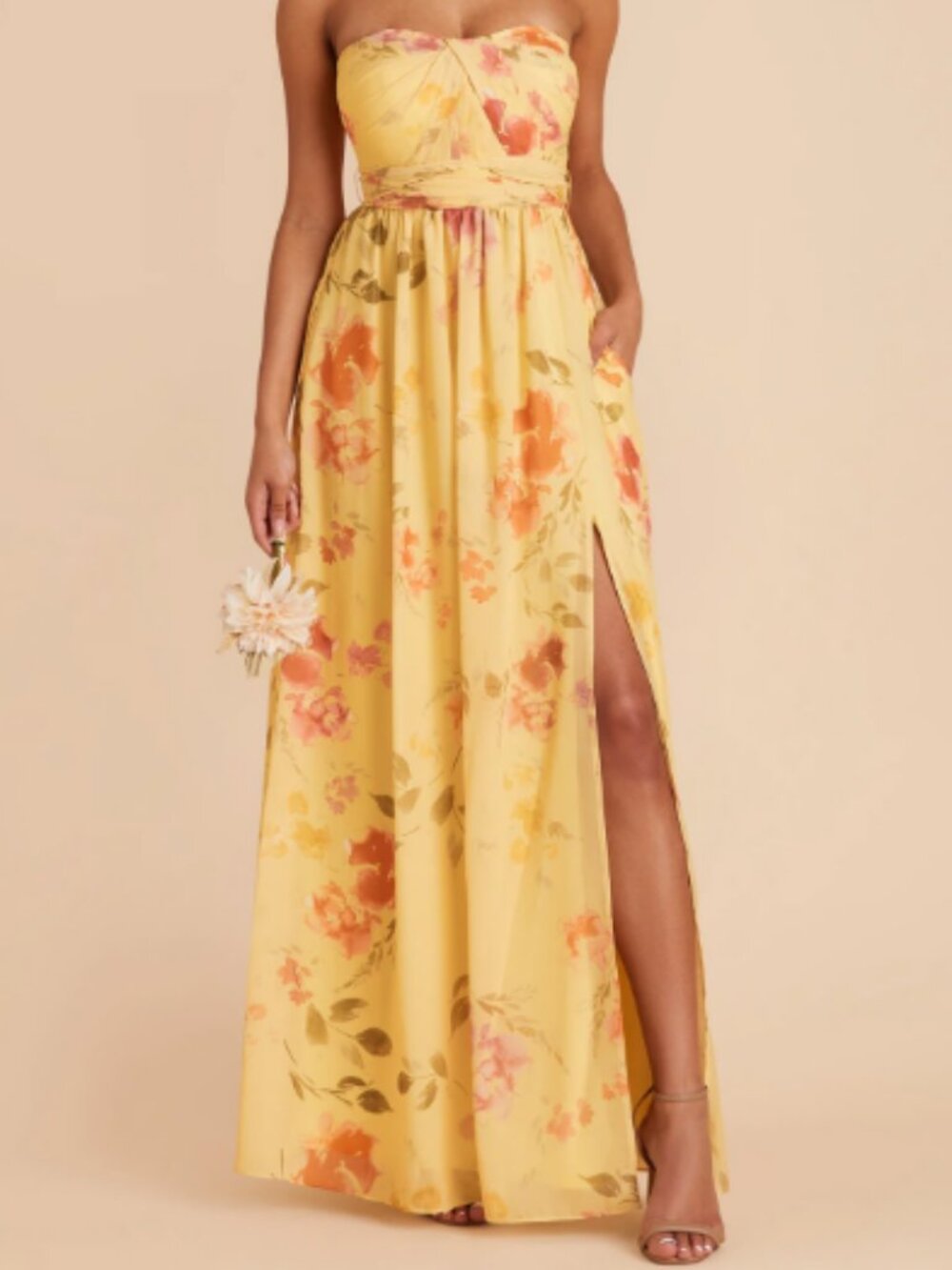 Birdy Grey Grace Dress Chiffon Pale Yellow Rococo Floral Size XXL 2XL NEW